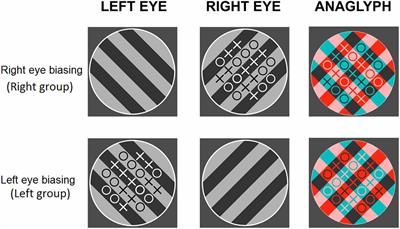 Attention to Monocular Images Bias Binocular Rivalry